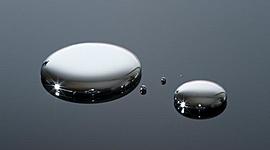 Timeline: Desarrollo embrionario