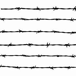 Barbed Wire