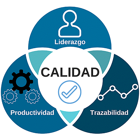MODELO CALIDAD TOTAL