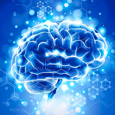Timeline: NEUROFISIOLOGIA - UNINASSAU
