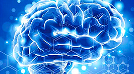 Timeline: NEUROFISIOLOGIA - UNINASSAU