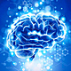 Neurofisiologia 1