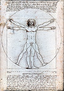 Creació de l'Home de vitruvi de Leonardo da Vinci