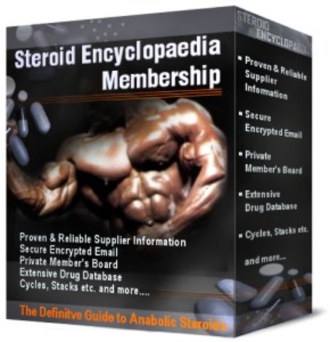 rising action /conflict