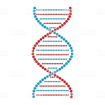 Timeline: Descubrimiento del ADN