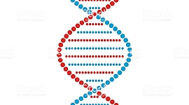 Timeline: Descubrimiento del ADN