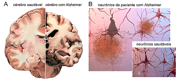 Notícia 03. Verdade ou Fake News?