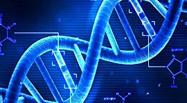 Timeline: La línea de tiempo del ADN