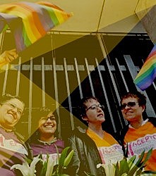 Creación de Colombia diversa