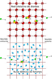 (neutrinos electrón y neutrinos muón).