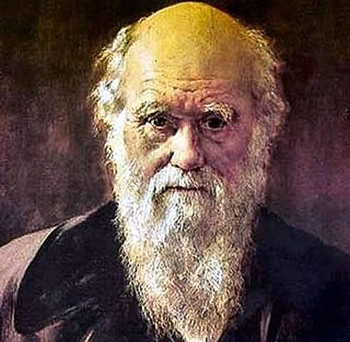 DARWIN EL ORIGEN DE LAS ESPECIES
