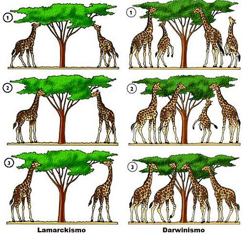 LAMARCK FILOSOFÍA Y ZOOLOGÍA