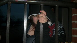 Timeline: Shyla 2010-2011