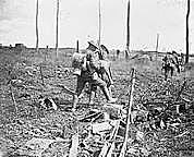 One Hundred Day Offensive Begins