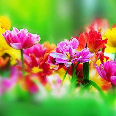 Timeline: ΤΑ ΜΕΡΗ ΤΟΥ ΛΟΥΛΟΥΔΙΟΥ