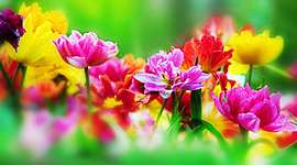 Timeline: ΤΑ ΜΕΡΗ ΤΟΥ ΛΟΥΛΟΥΔΙΟΥ