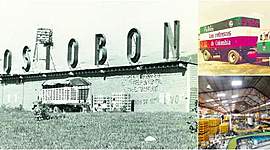 Timeline: HISTORIA DE POSTOBON