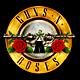 Guns n roses logo