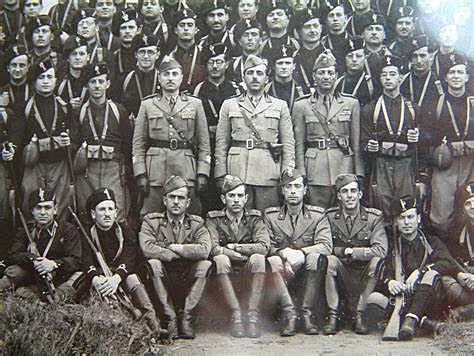 Fasci di Combattimento