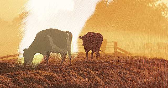 Folk flyttet fra bygdene og inn til byene