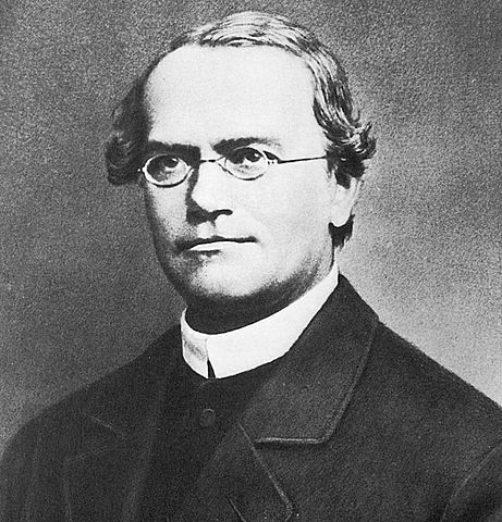 Gregor Mendel