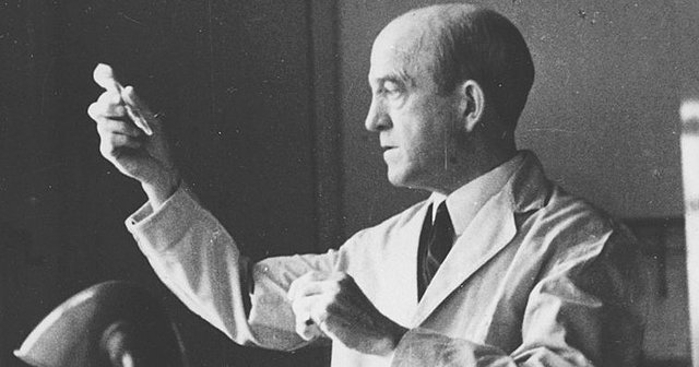 Experimentos de Oswald