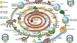 Timeline: eras geologicas