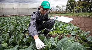 Programa de Promoción Profesional Urbana  (Cipacu)  y el de Promoción Profesional Popular Rural  (Capaca)