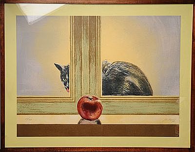 Gato tras Ventana y Manzana