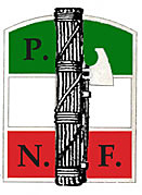 Partit Nacional Feixista