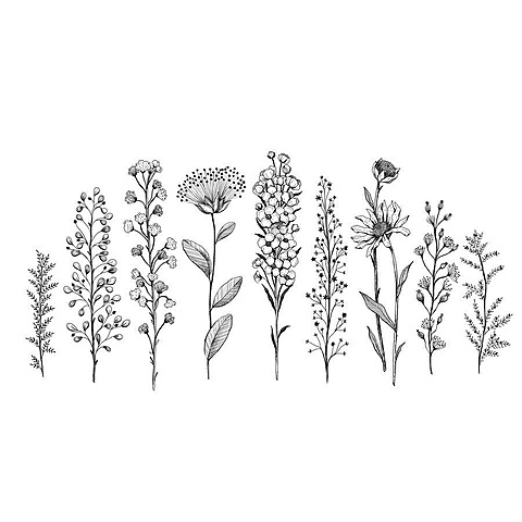 El reinado de Carlos IV