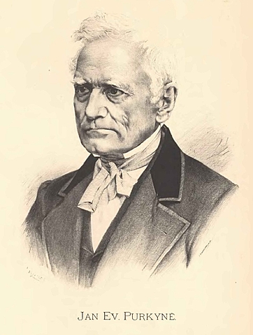 Purkinje(fiosologo)