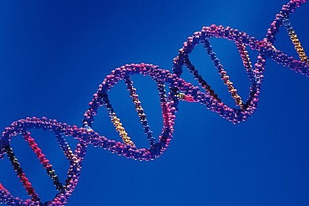 Watson y Crick compartieron en 1962 el Premio Nobel de Medicina