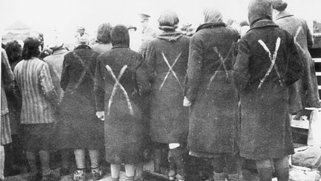 Inici de les purgues