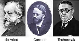 Hugo de Vries junto a Carl Correns&nbsp;y&nbsp;Erich von Tschermak. redescubrieron de manera independiente&nbsp; las Leyes de la Genética&nbsp;de Gregor Mendel en&nbsp;1900.