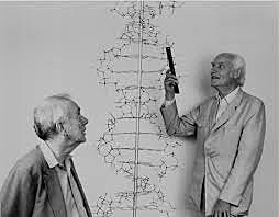 Watson y Crick