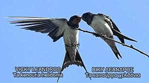 Μάιος