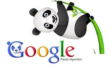 Google lanza Google Panda y Google+.