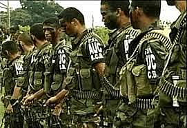 Surgimiento de las AUC