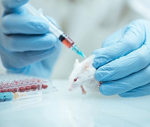 Principio de transformacion