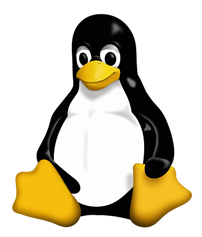 Nucleo Linux 2.4
