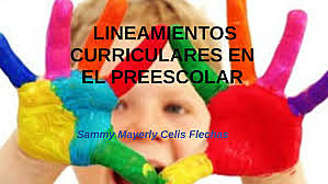 se modifica el programa CAIP