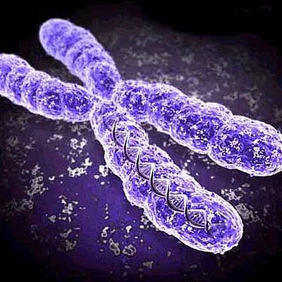 Timeline: Ιστορία ανακάλυψης του DNA