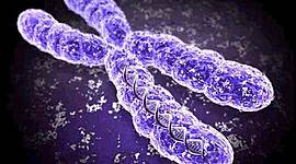 Timeline: Ιστορία ανακάλυψης του DNA