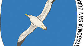 Timeline: El Paradigma Geotecnológico de Buzai