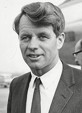 Robert F. Kennedy's Brother Assassination