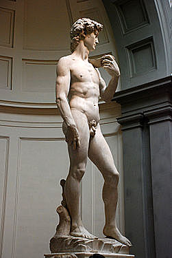 Creació del David de Michelangelo Buonarroti