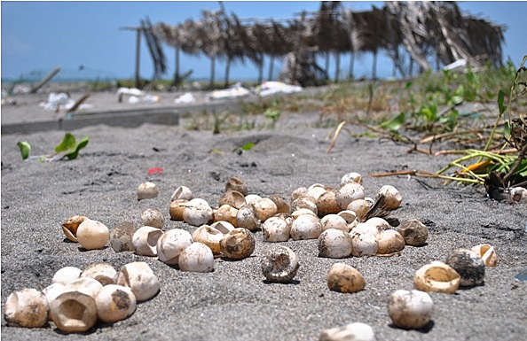 Primer terremoto del 2012