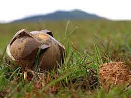 Enmienda del Articulo 1 sobre ciertas armas convencionales.