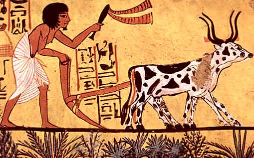 COMIENZA LA GANADERÍA